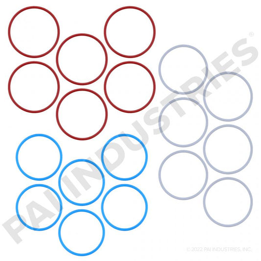 PAI 121190 Injector O-Ring Kit For N14 Engines │ PAI Industries