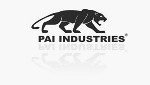 PAI Industries 609899X Reman Fuel Injector Assembly │ Replaces Detroit Diesel R5235915