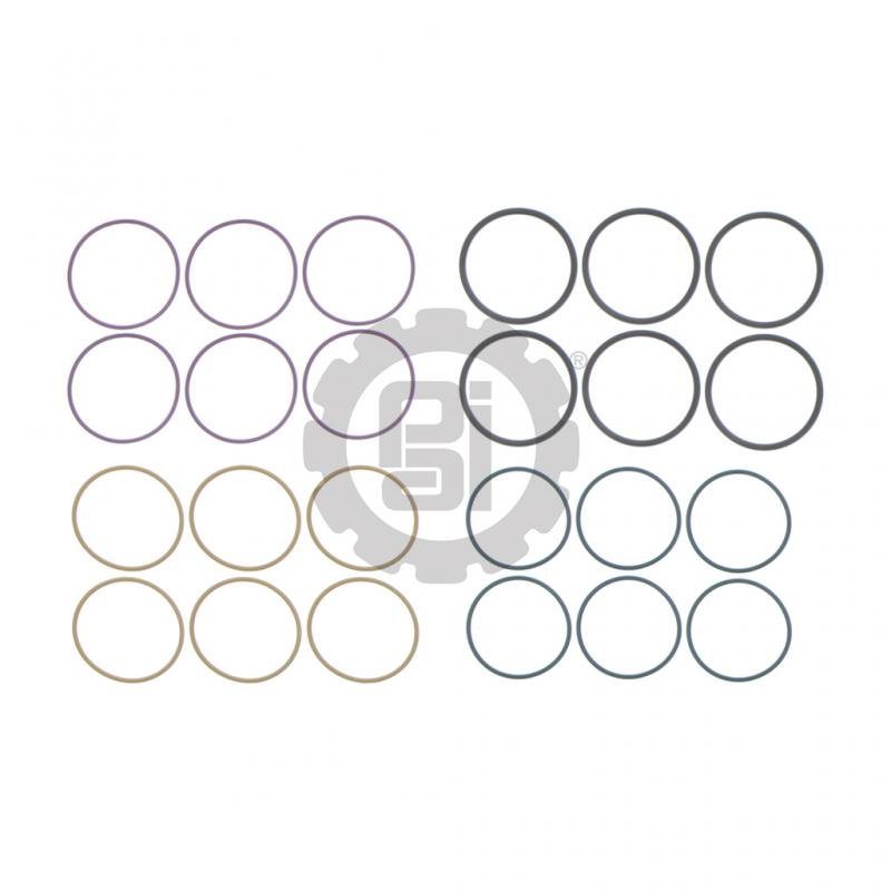 PAI 121309 Injector O-Ring Kit For Cummins ISX Engines │ PAI Industries 