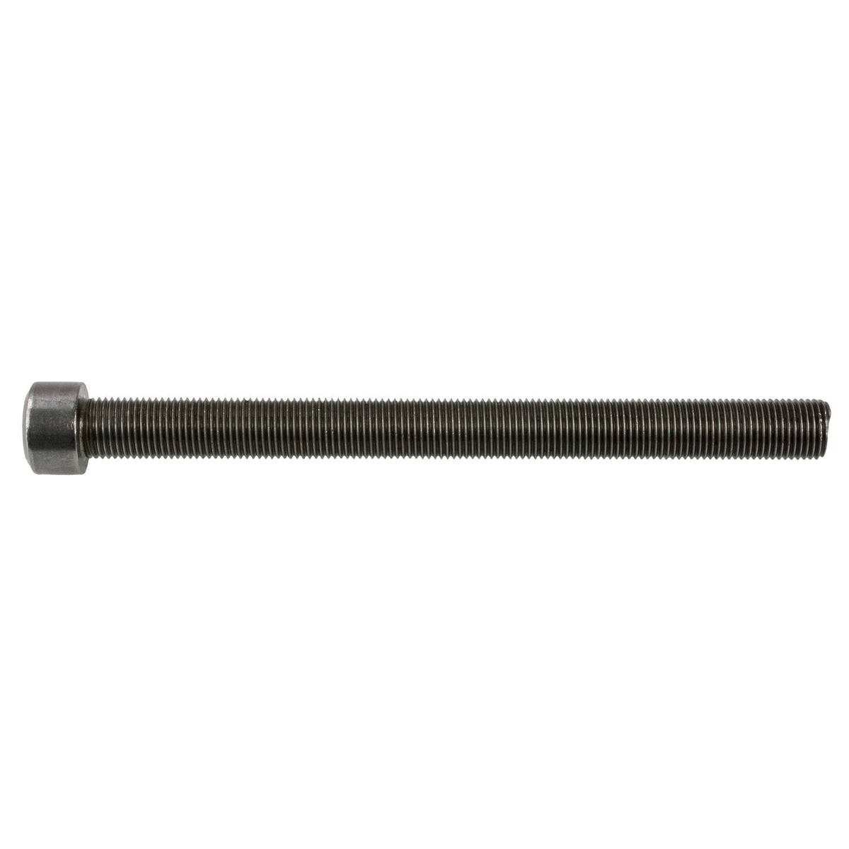 World American WA07-5068 Leaf Spring Center Bolt 1/2 X 6-5/8 │ World American 